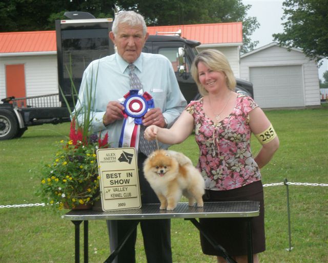 BEST IN SHOW  under Judge Mel Bungey