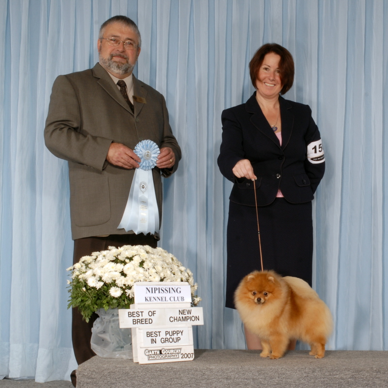 Puppy Group New Champion - Judge Sonny Tougas - October 2007